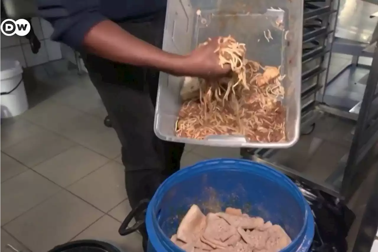 WATCH | South African company tackles food waste, greenhouse gas emissions | Business