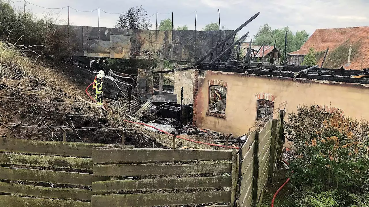 Flammen hinterlassen 400 Quadratmeter große Schneise