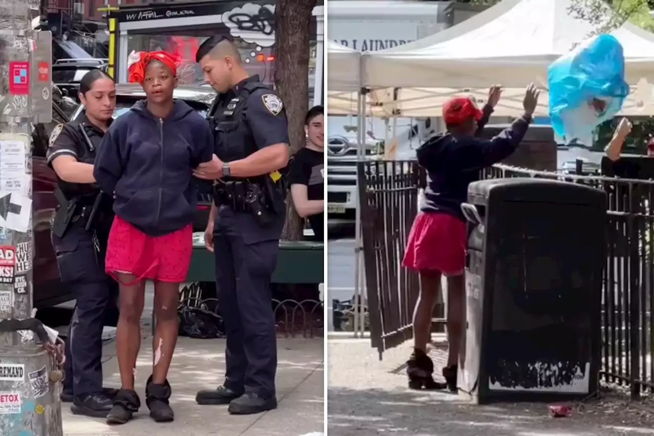 Another unhinged woman caught on video harassing locals at NYC park