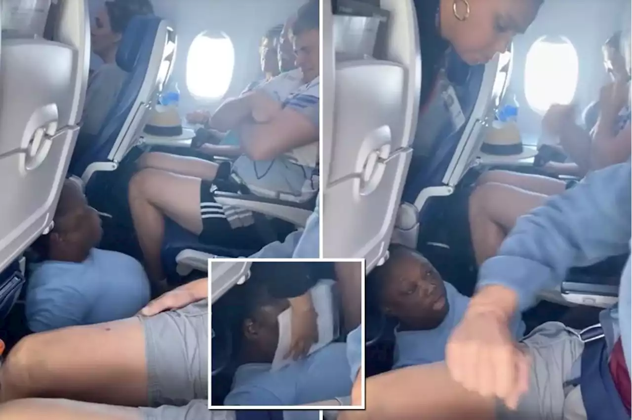 Wild video show unruly passenger spits on people while being dragged off Southwest flight