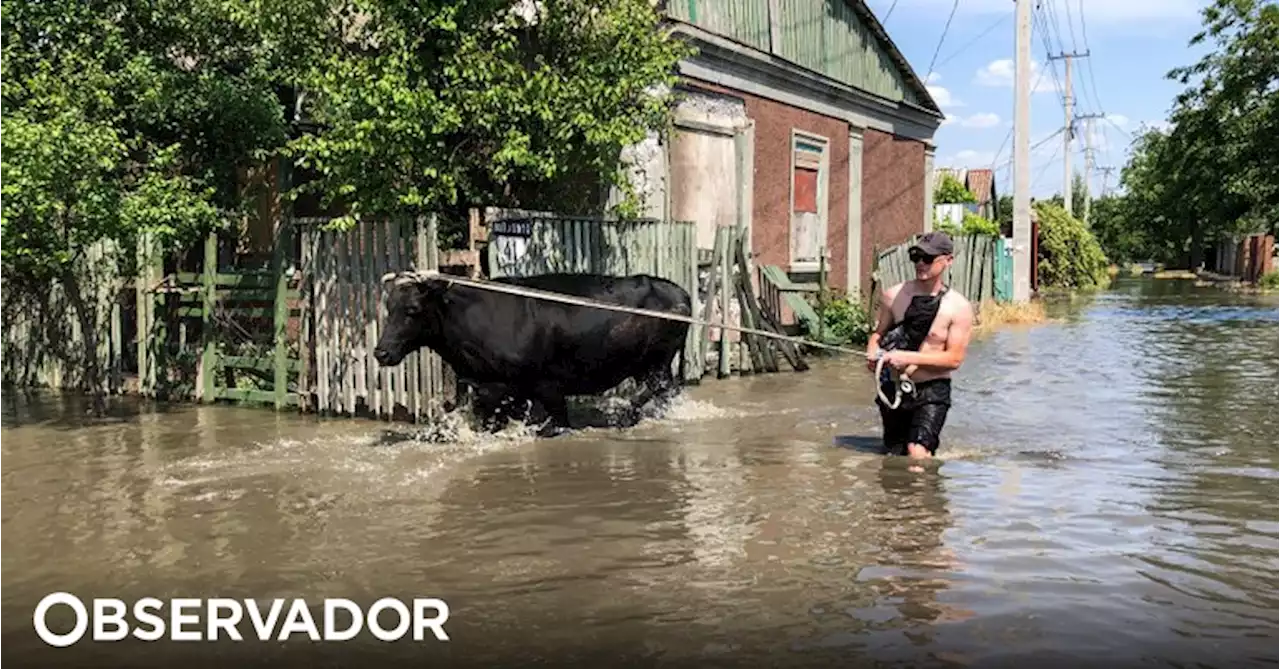 As imagens das cheias depois da destruição da barragem de Kakhovka