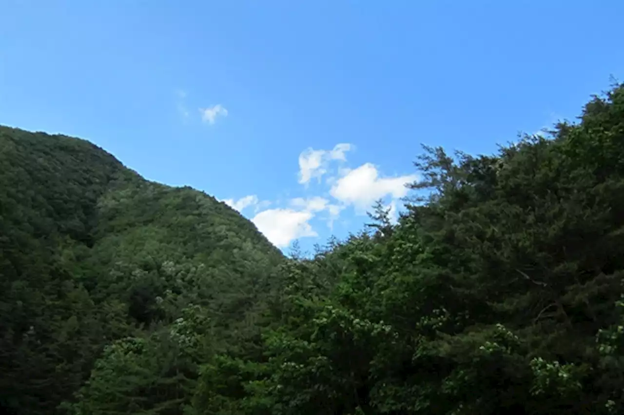 덕산기 계곡에 울려퍼진 오케스트라