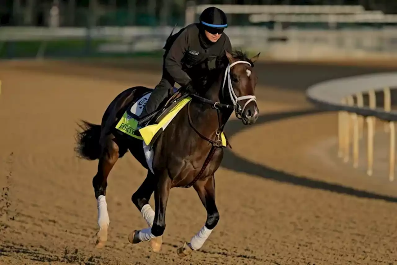 2023 Belmont Stakes: Forte is favored to win race at Belmont Park after scratching from Derby