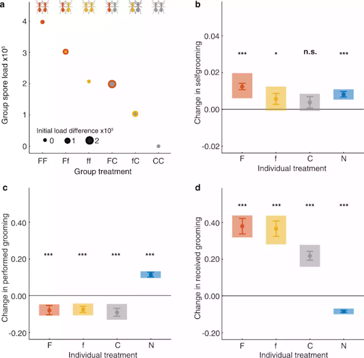 Dynamic pathogen detection and social feedback shape collective hygiene in ants - Nature Communications