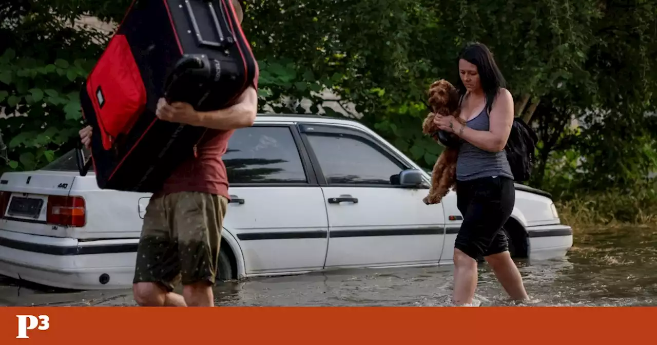 Destruição da barragem matou todos os animais de um zoo ucraniano — só os pássaros se salvaram