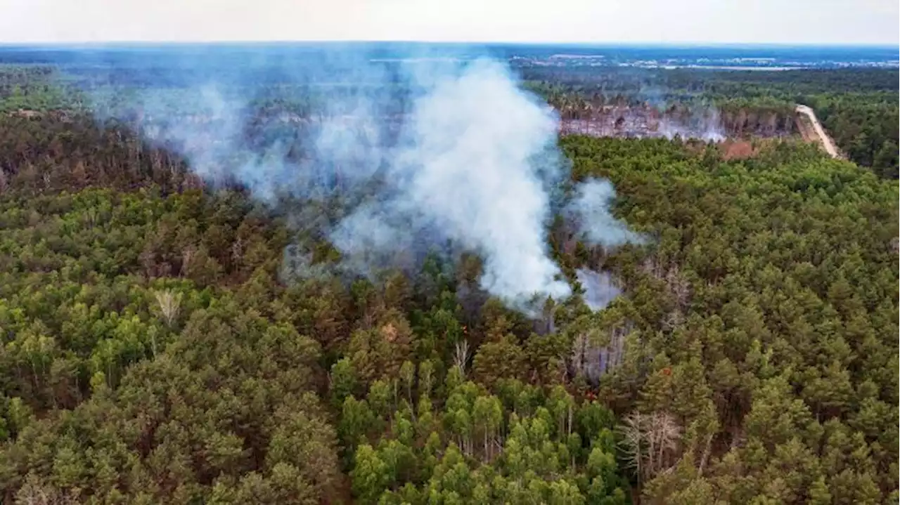 Wind facht Waldbrand bei Jüterbog wieder an