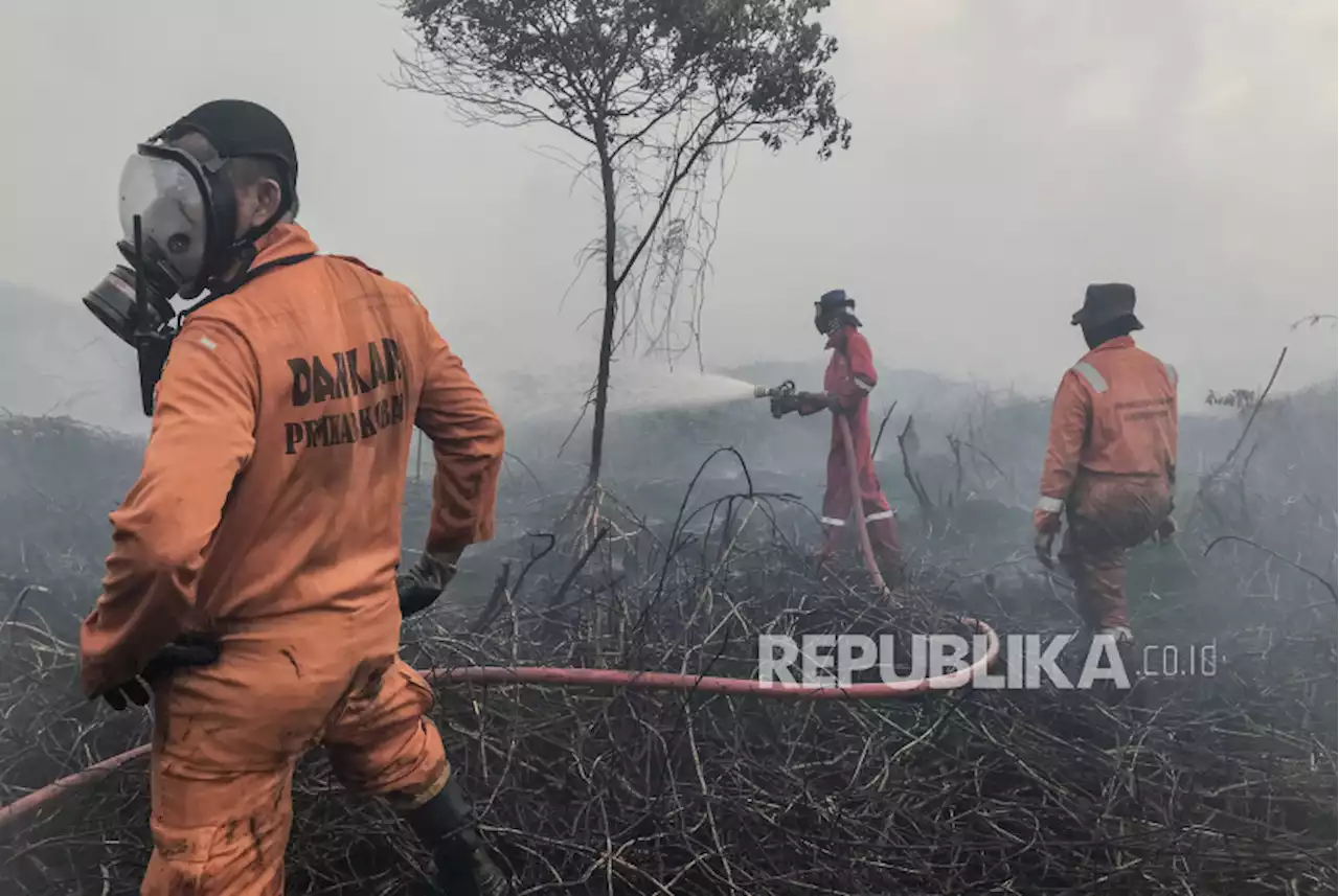 BNPB Beri Perhatian Khusus Tujuh Provinsi Prioritas Karhutla |Republika Online