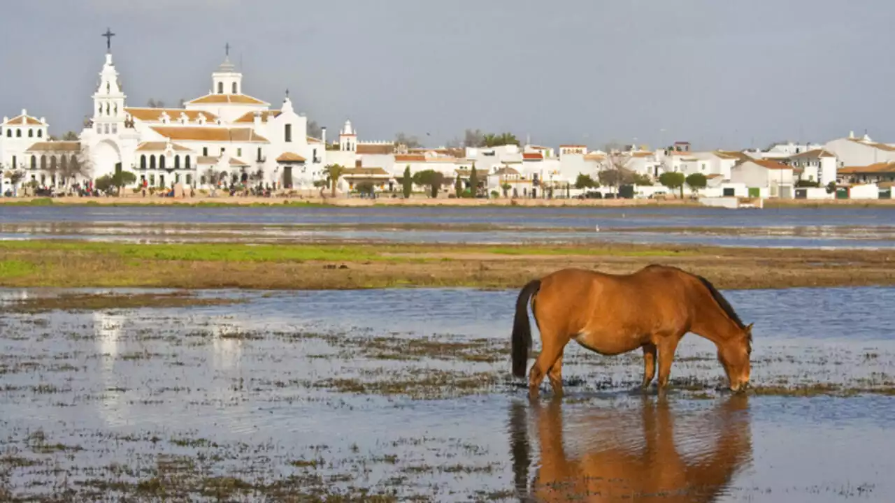 L’Unesco s'inquiète pour le parc de Doñana et met l'Espagne en garde