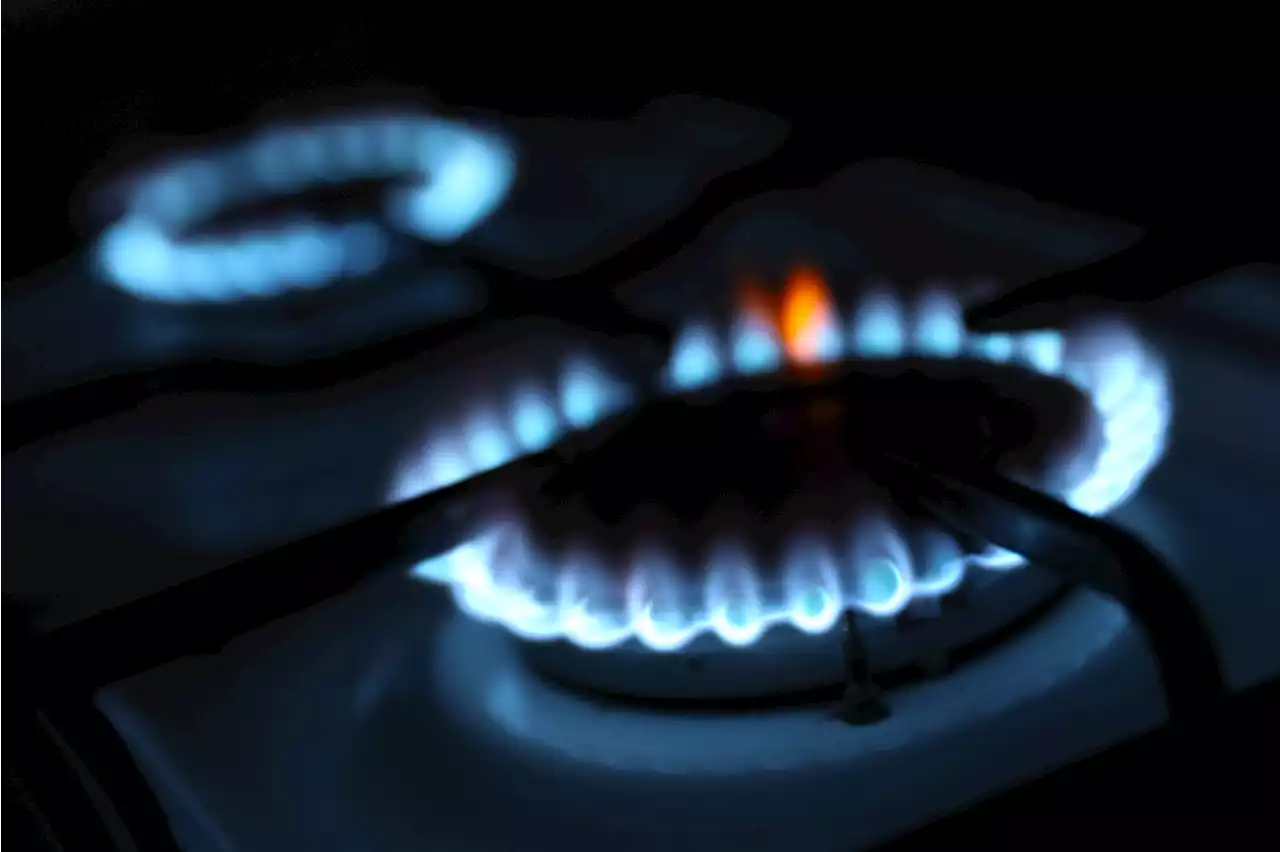 House Republicans Sabotage Their Own Gas Stove Bills to Punish Kevin McCarthy