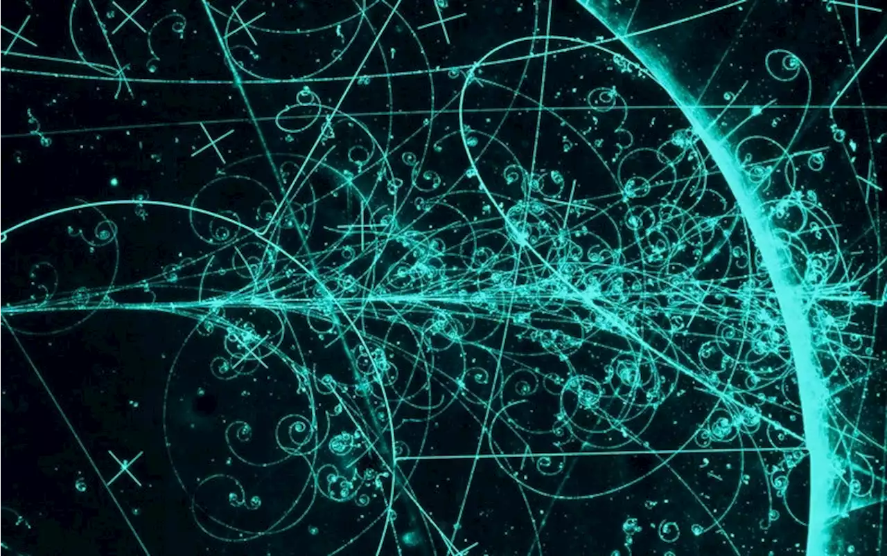 The Weirdest Particles in the Universe