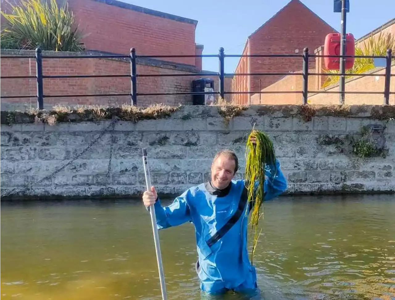 Shrewsbury tourist boat future 'at risk' over 'unprecedented' reed growth affects service