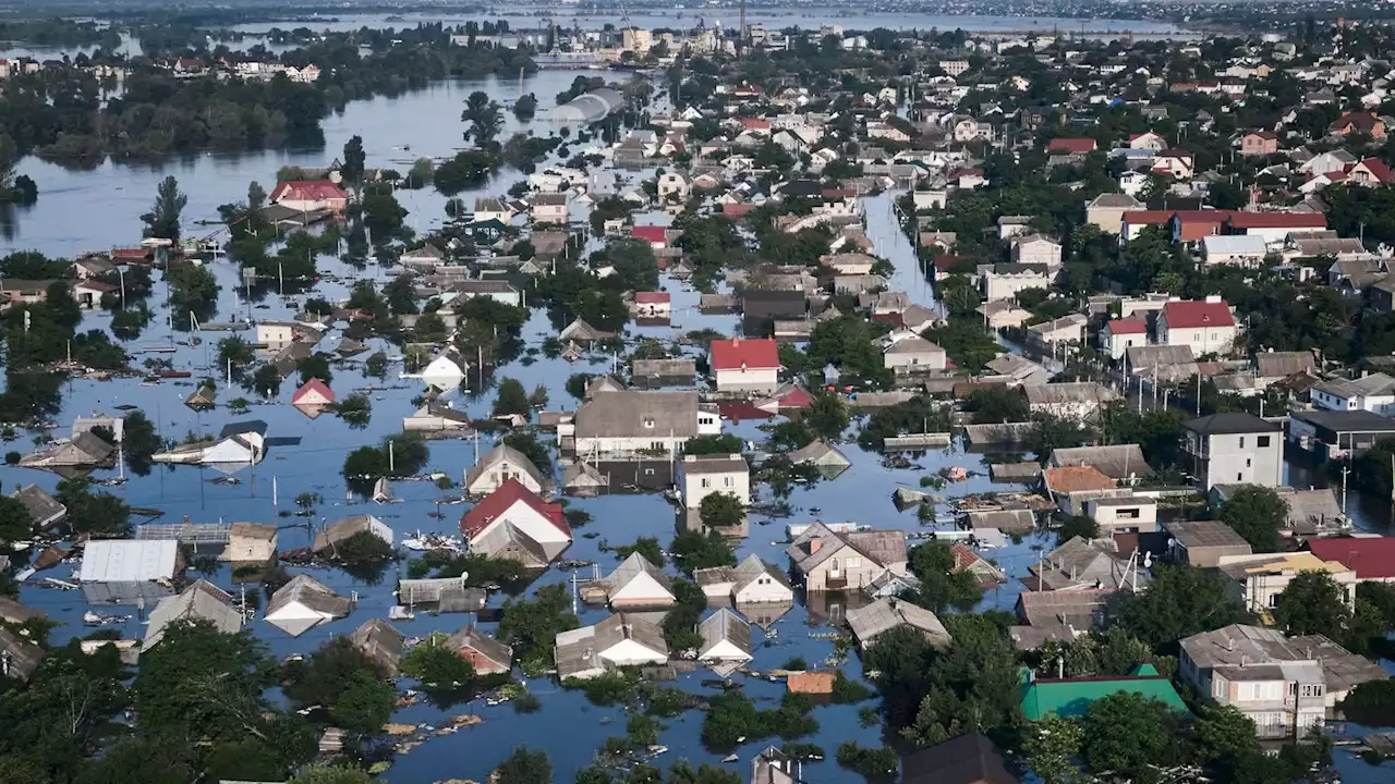 Ukraine war: 'Ecological catastrophe' - Five environmental impacts of Nova Kakhovka dam collapse