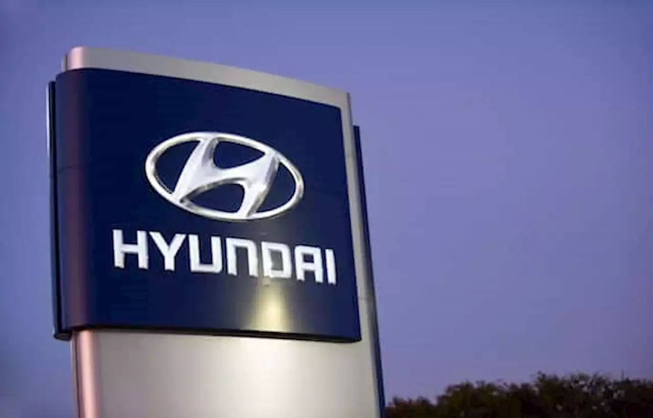 New York fa causa a Hyundai e Kia: auto troppo facili da rubare