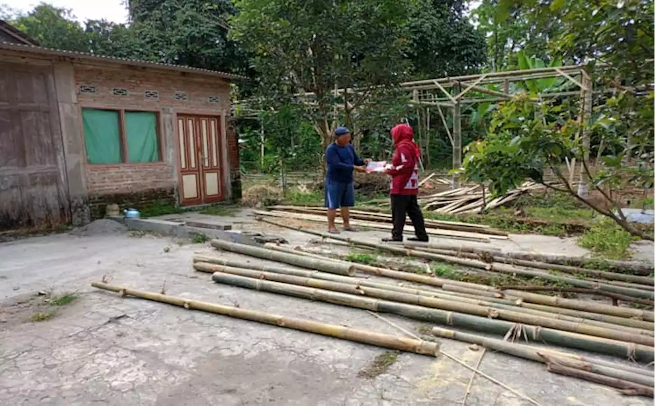 Kisah Guru SDN Sugihan 03 Tengaran Semarang Nekat Door to Door Cari Siswa Baru