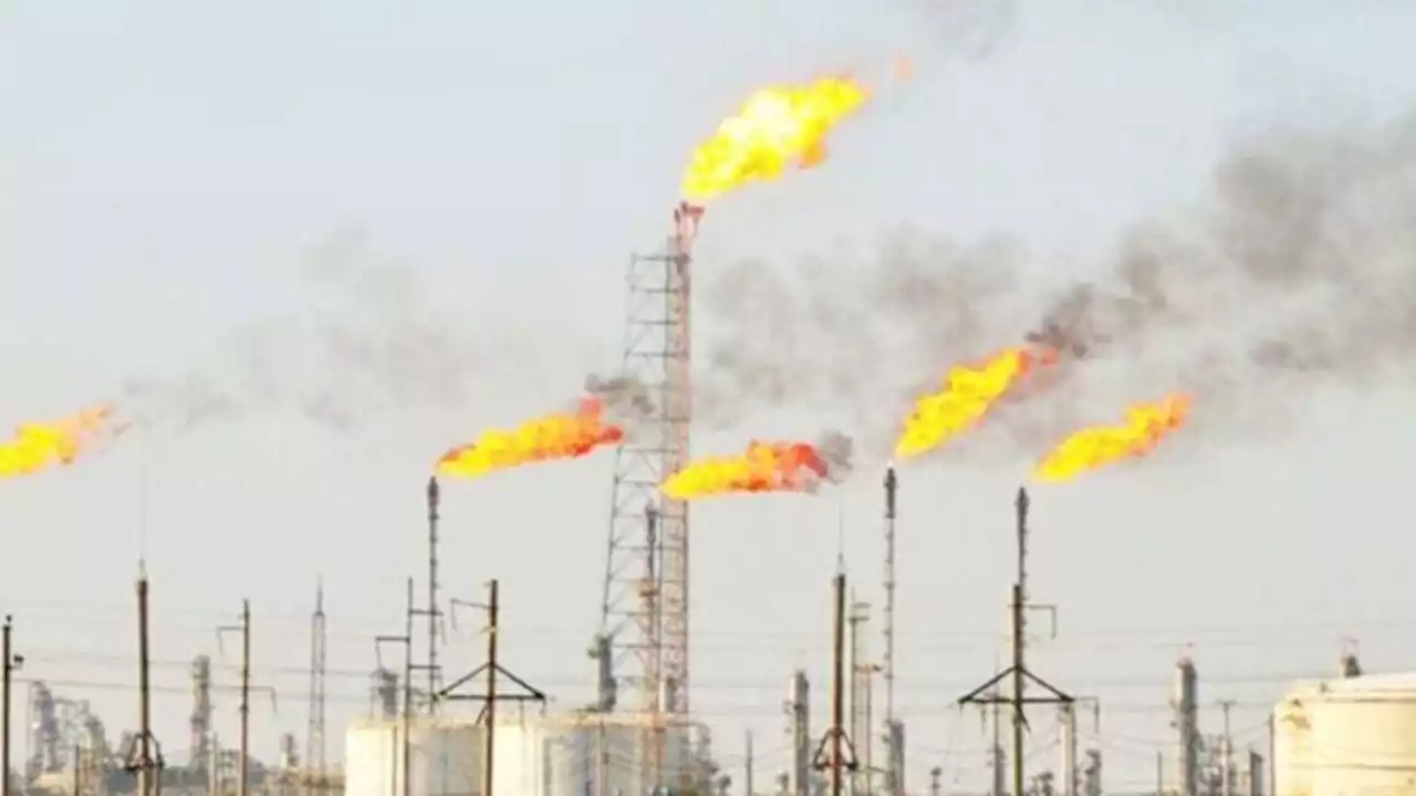 Climate Facts: Healthy ecosystems can reduce global warming by 37%, says UN | TheCable