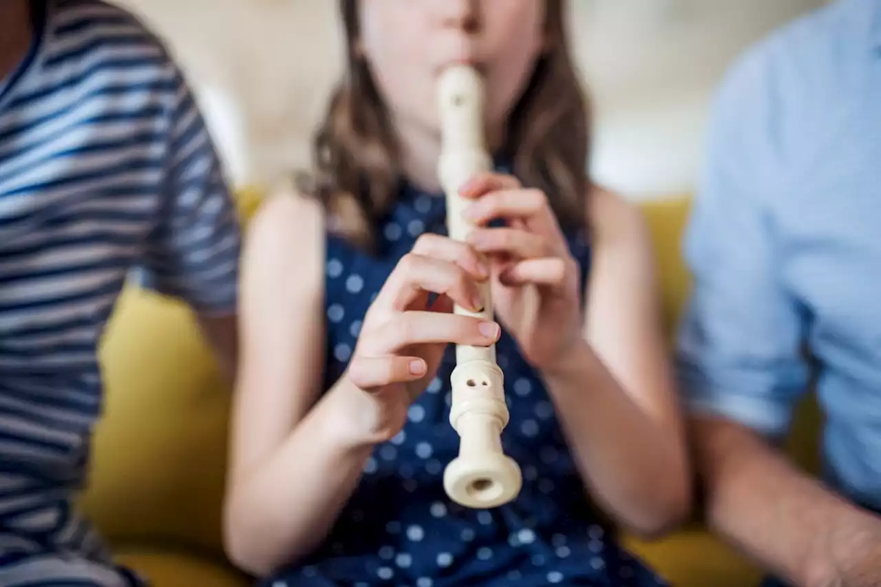 Save the recorder! Why the world’s most hated instrument is so misunderstood