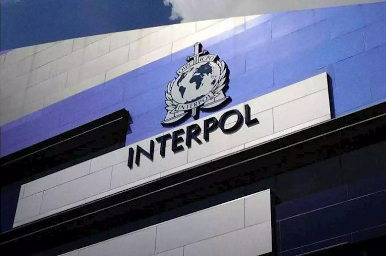 Syndicates luring thousands with fake jobs, warns Interpol