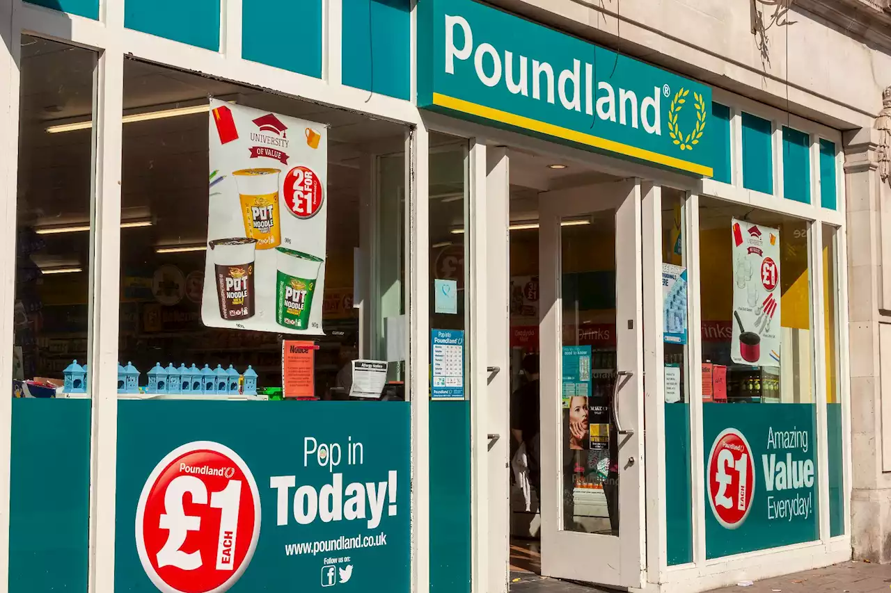 Bargain hunters left divided over a £12 Poundland summer buy