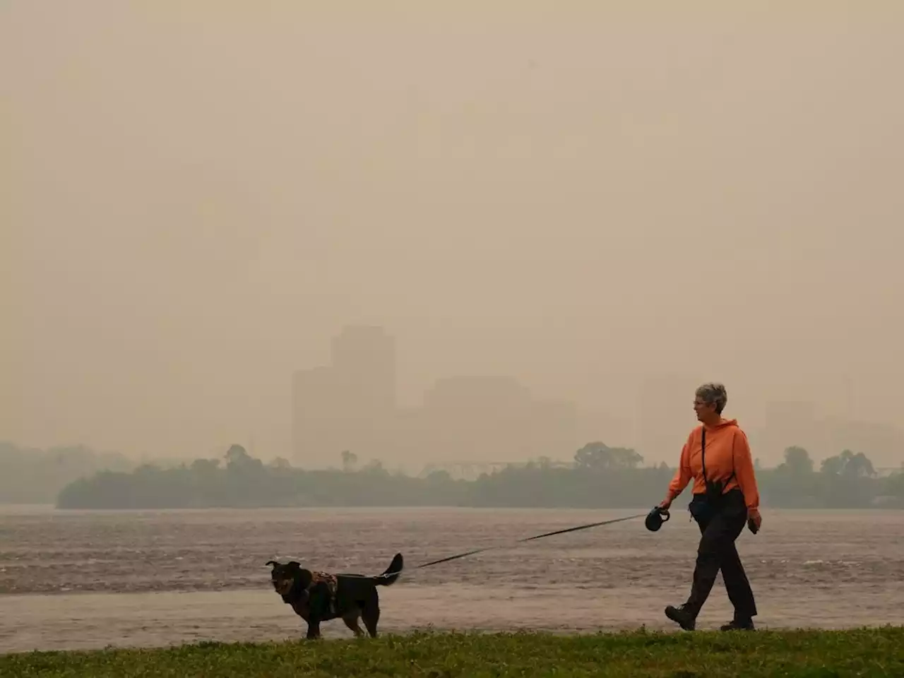 Wildfire smoke blankets Ontario, Quebec, air quality plummets, affects activities