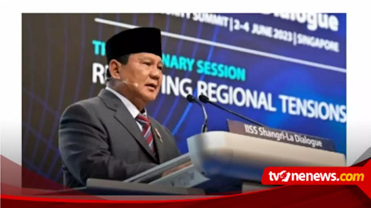 Pengamat UI: Usulan Prabowo Soal Perdamaian Rusia-Ukraina Hormati Peran PBB