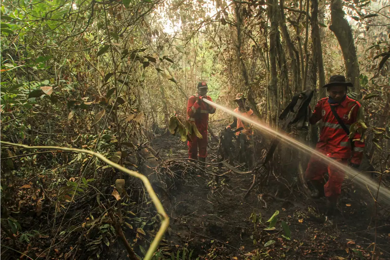 Kalimantan Tengah sedia hadapi kebakaran hutan, jerebu