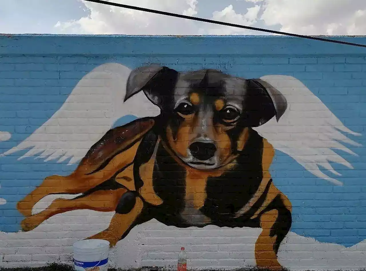 Crean mural en homenaje a ‘Scooby’, el perrito que falleció en Tecámac