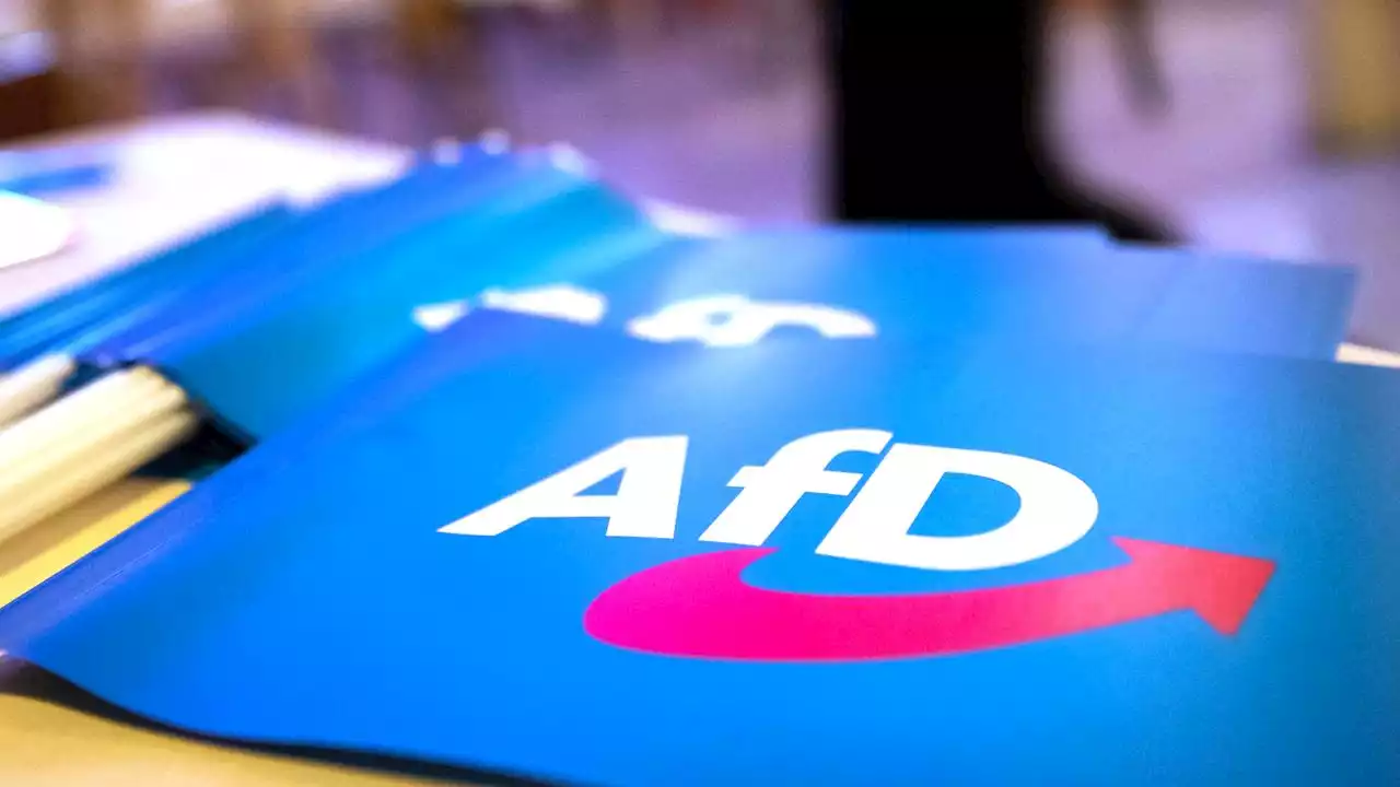 Menschenrechtsinstitut: Kriterien für AfD-Verbot erfüllt