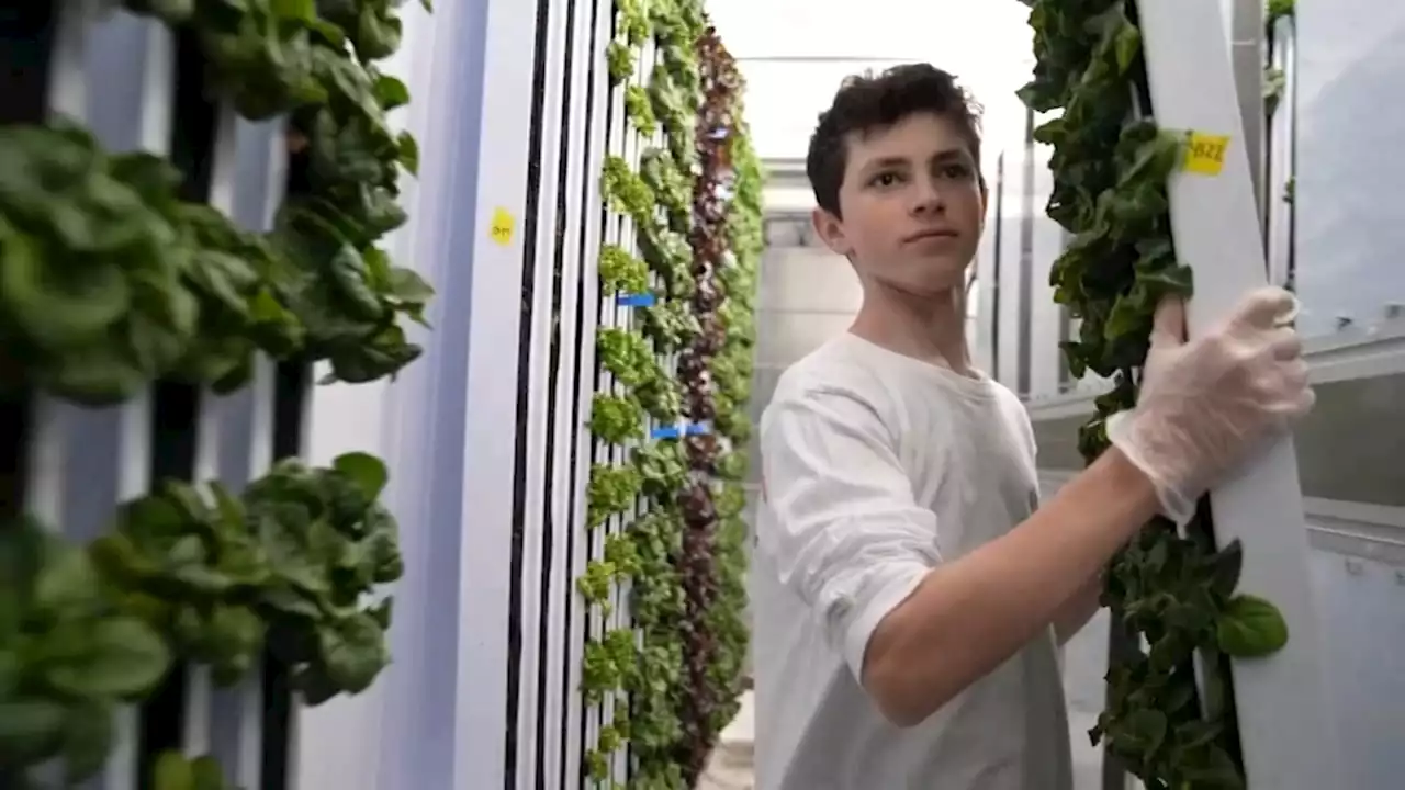 Montgomery County students learn valuable skills from hydroponic farm