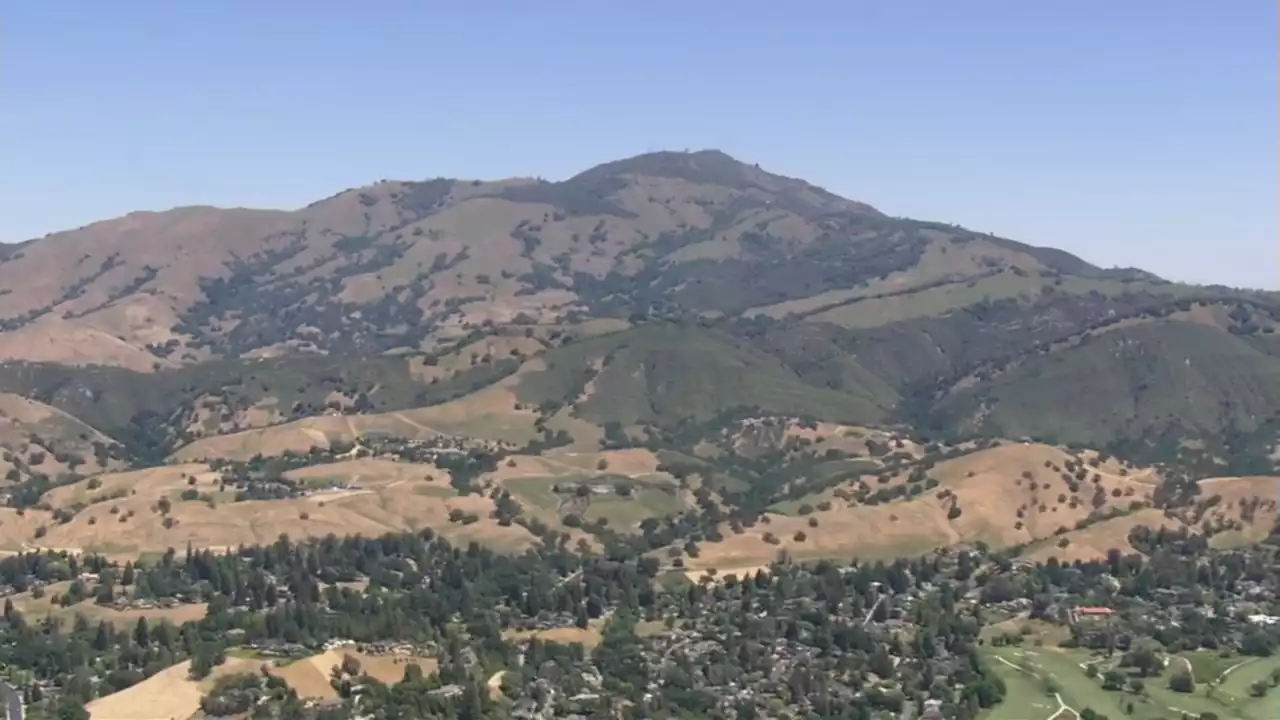 Boy airlifted to hospital after possible rattlesnake bite at Mt. Diablo State Park, officials say