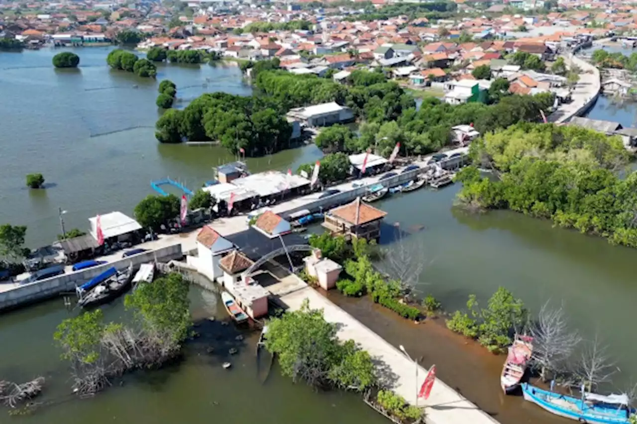 Bantuan penanganan perubahan iklim di kawasan pesisir Pekalongan - ANTARA News