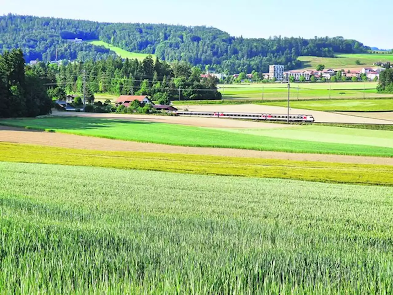 Landwirte sind wegen einer geplanten Baupiste der SBB verärgert - bauernzeitung.ch