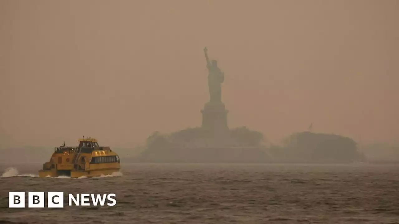 La Guardia and Newark flight delays over Canada wildfire smoke