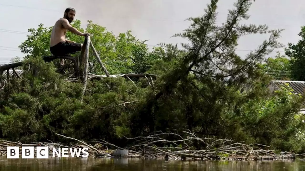 Ukraine dam: Floods devastate tracts of rich farmland