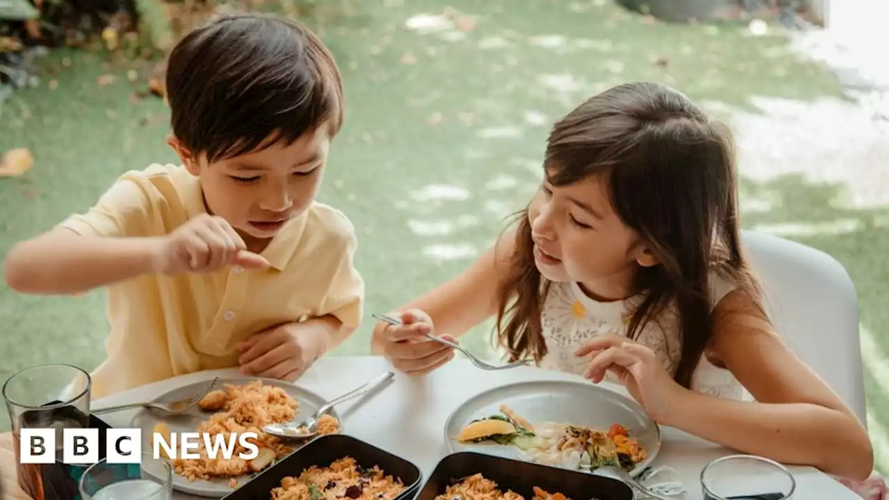 Why Singapore is the only place in the world selling lab-grown meat