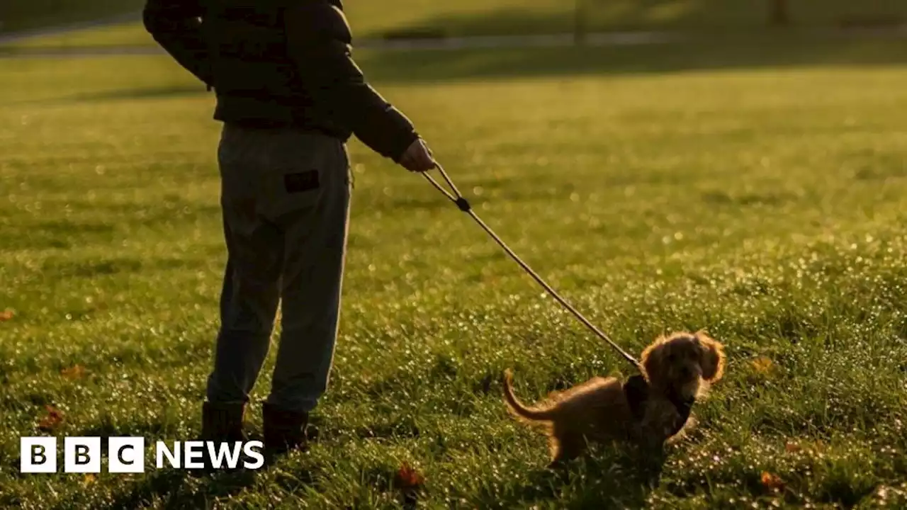 North Northamptonshire residents asked about fines for dogs off leads