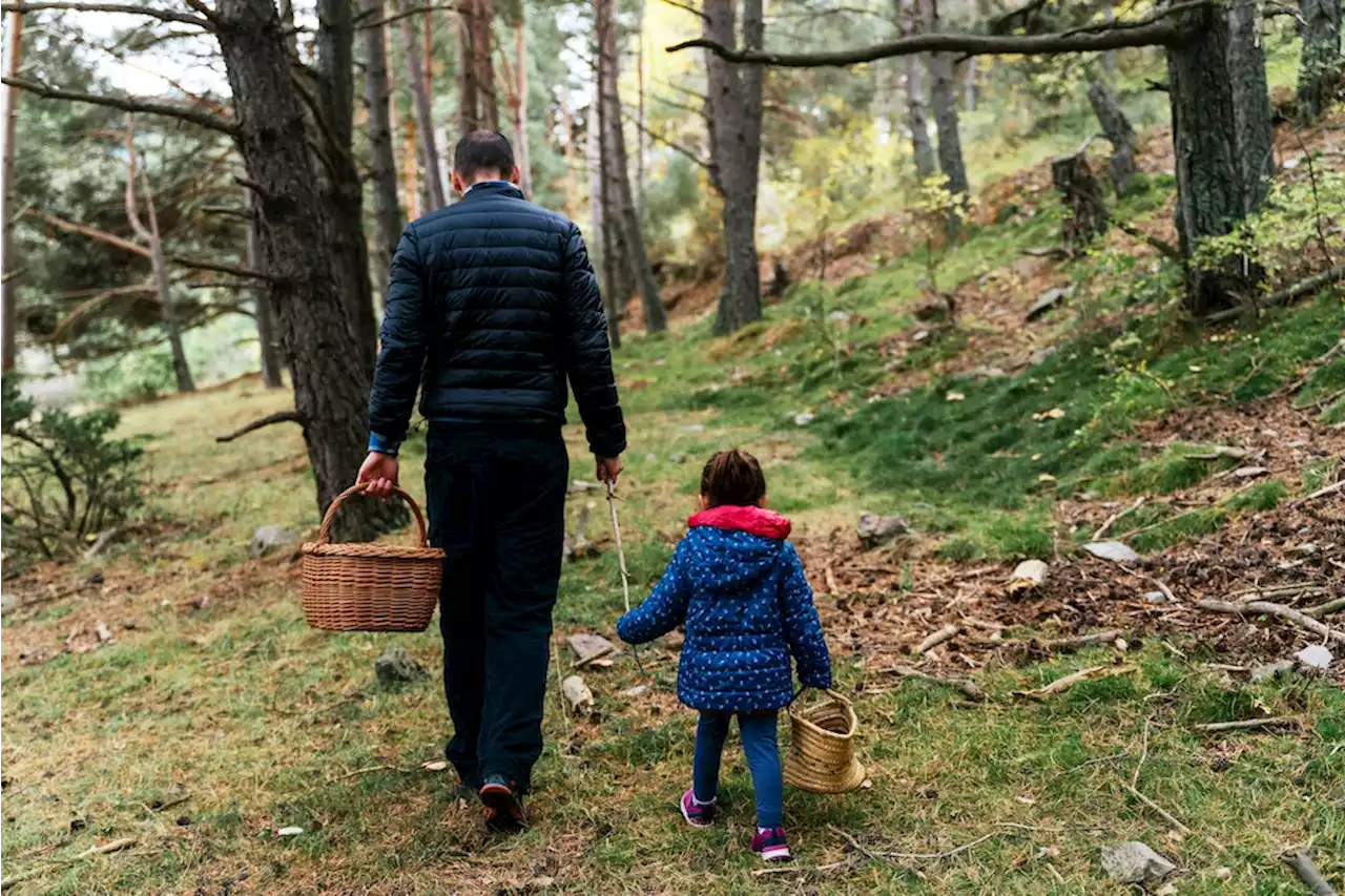 Von Tierarten und Pflanzenwelten: Die Naturvergessenheit der jungen Generation