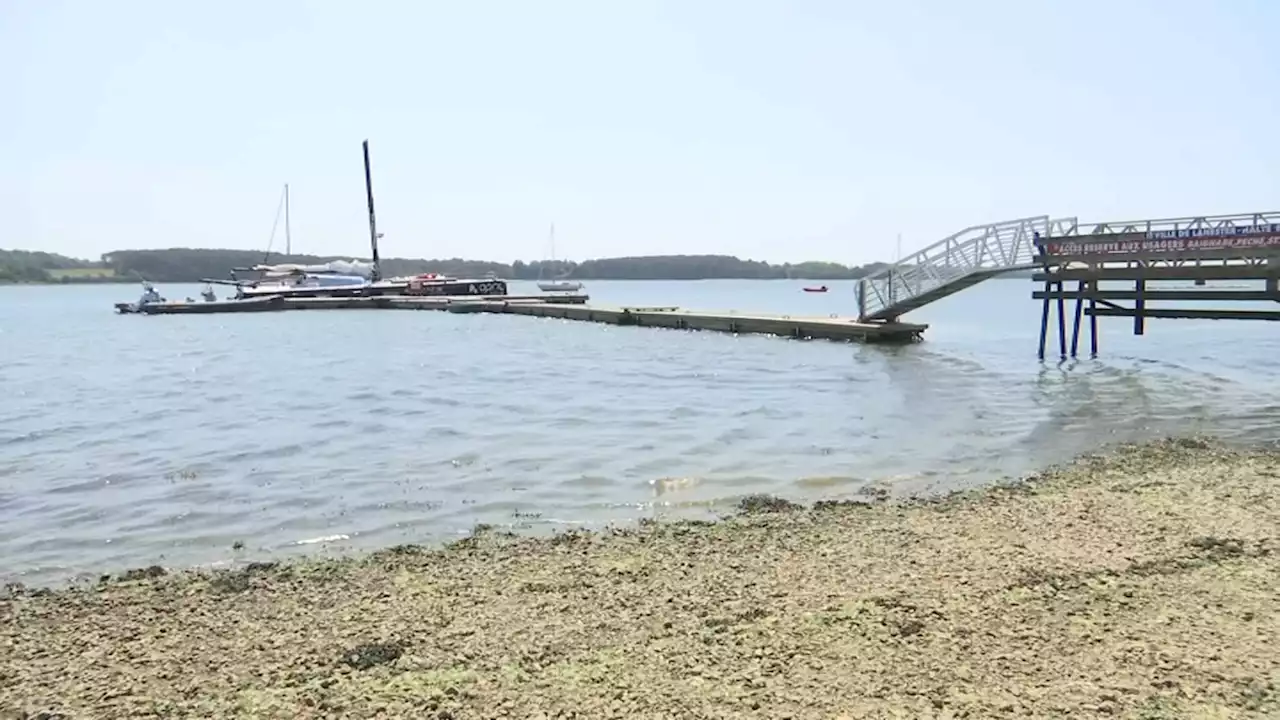 Mort d'Iris C. à Lanester: un homme placé en garde à vue à Lorient