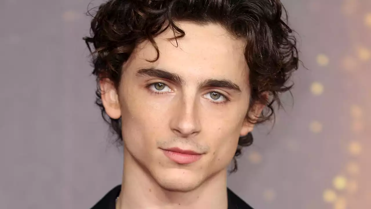 Meet The Female Groomer Behind Timothée And Austin’s Heartthrob Hair