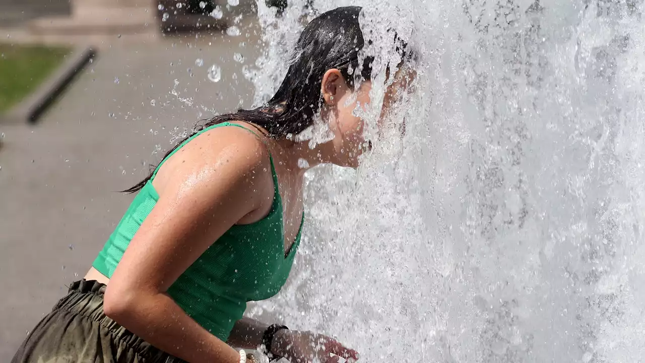 Wetter: 30-Grad-Marke könnte in Berlin am Donnerstag geknackt werden