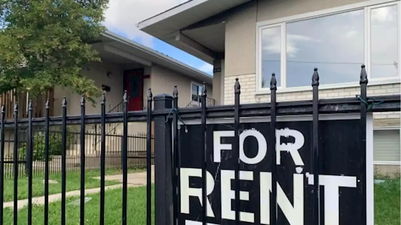 'Kind of dehumanizing': What it's like trying to find a decent place to rent in Calgary these days | CBC News