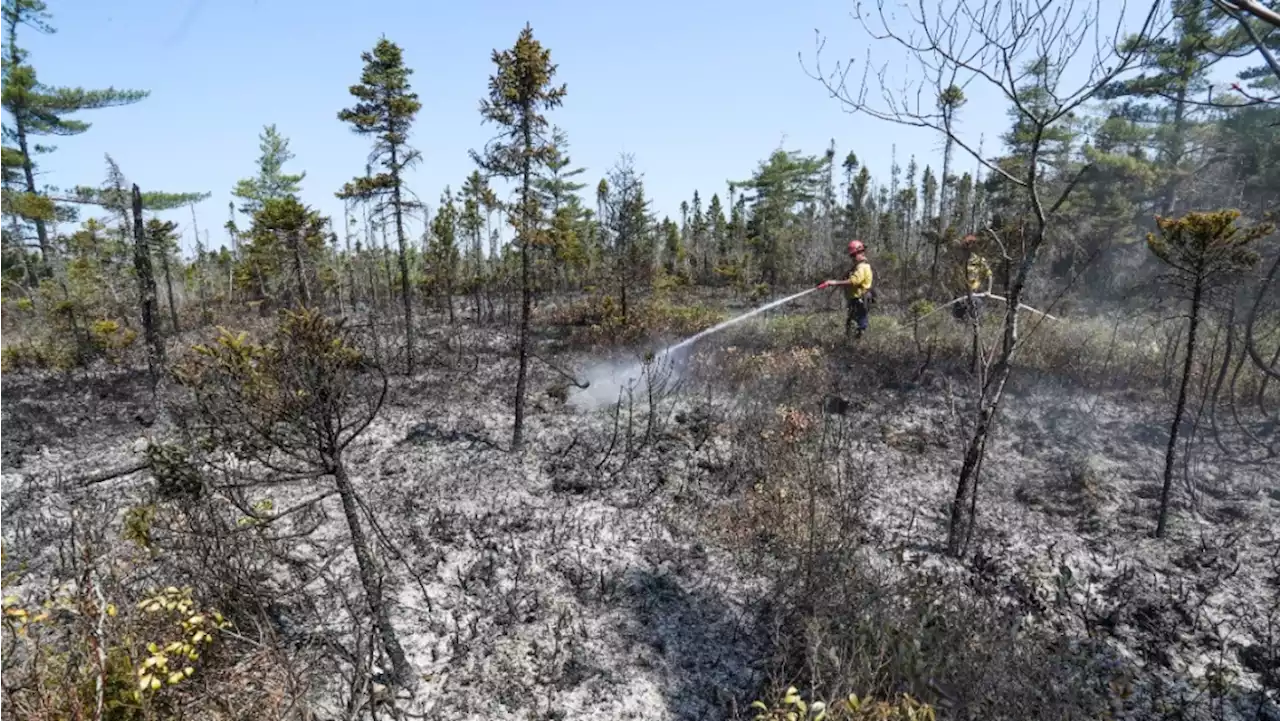 'Tremendous amount we could be doing': Expert shares tips for preventing, adapting to wildfires