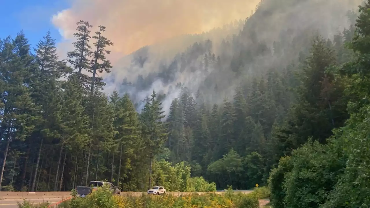 Port Alberni mayor urges calm as officials to provide wildfire update