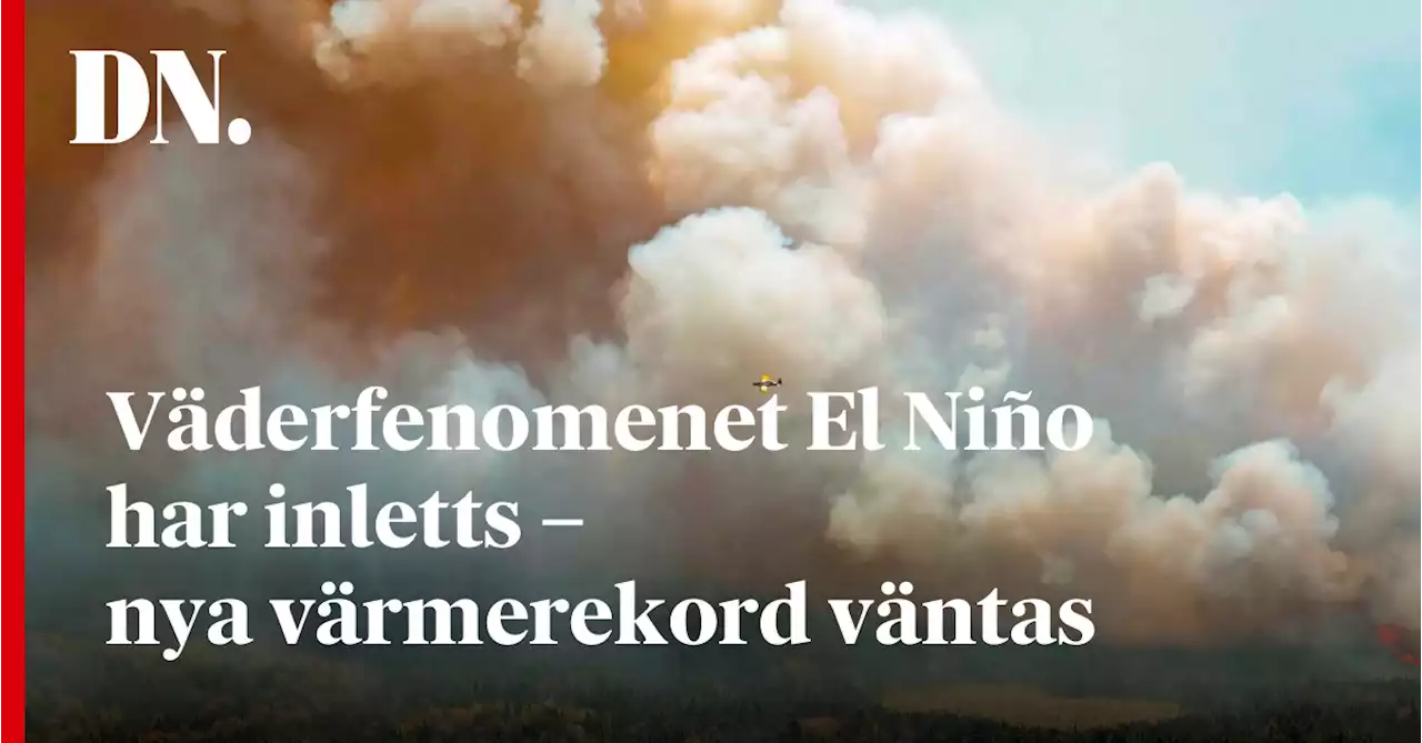 Väderfenomenet El Niño har inletts – nya värmerekord väntas