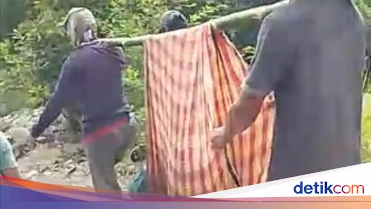 Kondisi Memprihatinkan Nenek Asal Jakarta Ditemukan di Hutan Usai 2 Bulan