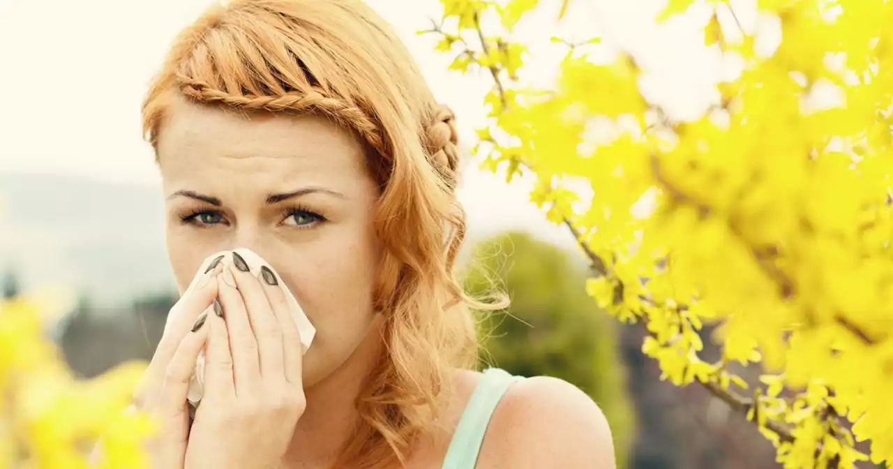 £4 hay fever 'cure' makes you 'feel like you've never had it'