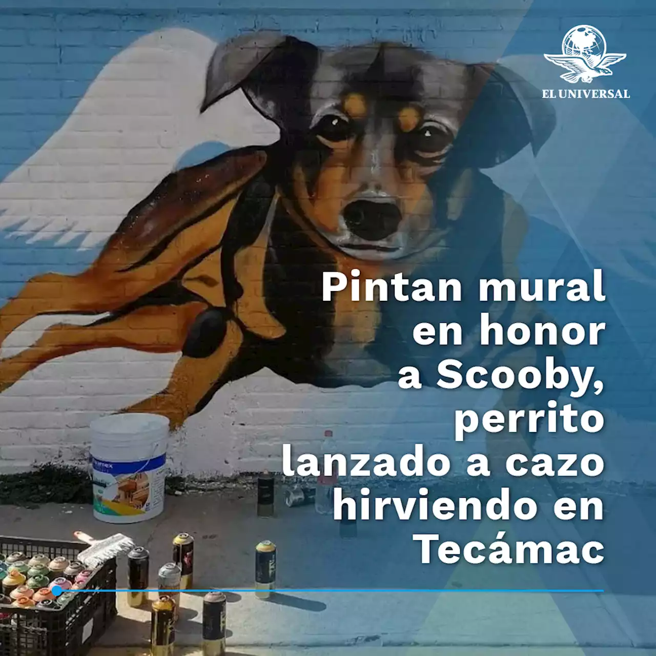 “Surge de la empatía y la solidaridad', dice artista de mural de Scooby, perrito arrojado a aceite hirviendo; VIDEO | El Universal