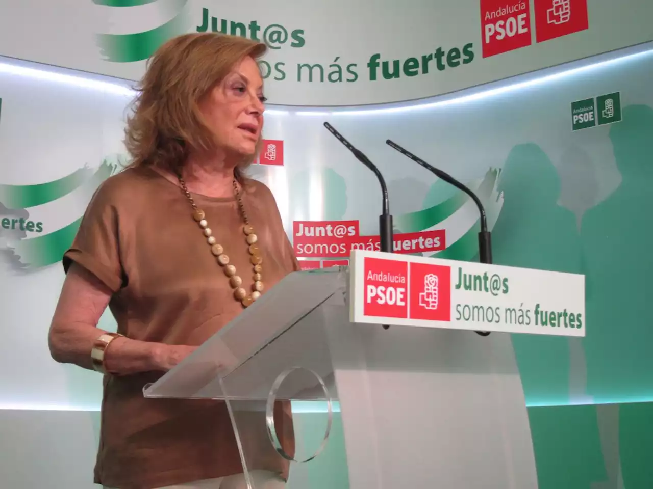 Dimite Amparo Rubiales, presidenta del PSOE de Sevilla, tras llamar “judío nazi” al ‘número tres’ del PP