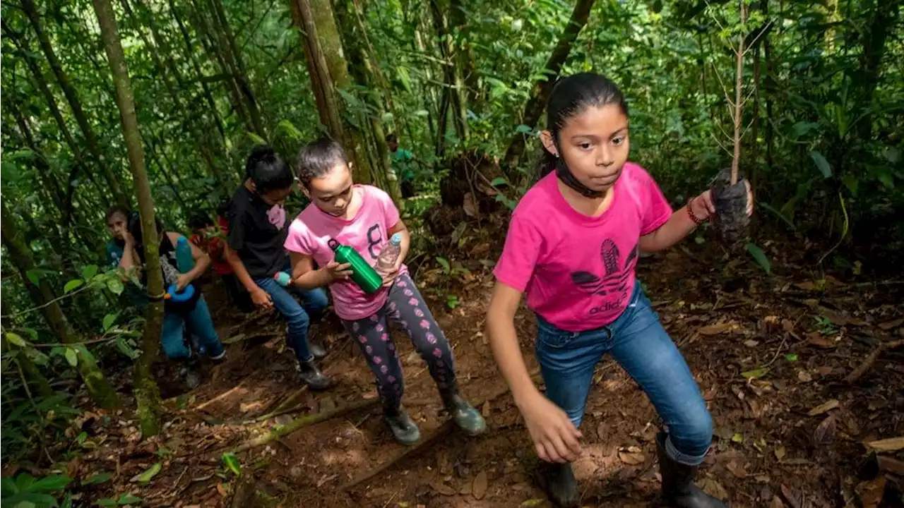 ”Sverige har mycket att lära av Costa Rica”