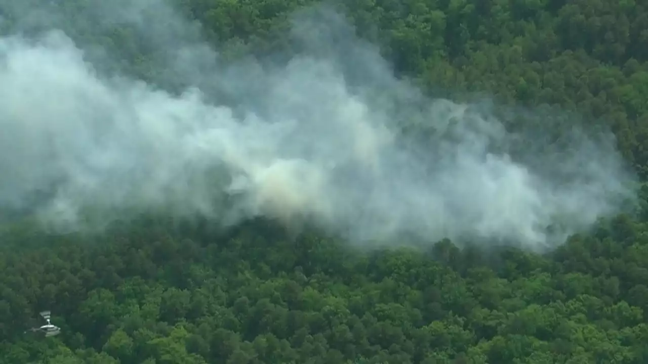 Crews contain wildfire in Ocean County as it torches dozens of acres