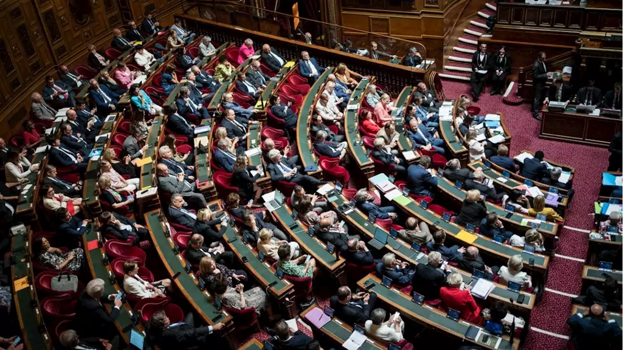 Les présidents de l'Assemblée et du Sénat saisissent la justice à la suite de courriels racistes adressés à des parlementaires